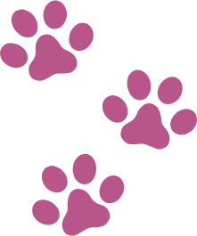 caninos y felinos